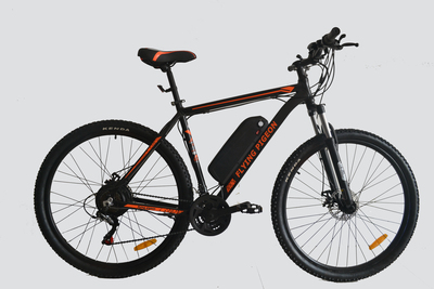 26" Popular E-BIKE(FP-EB003)