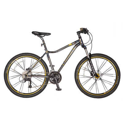 26" chrome-molybdenum steel bike CR-MO bike(MTB-FP103)