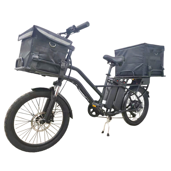 FP-EB2101(24"electric bike with double battery)