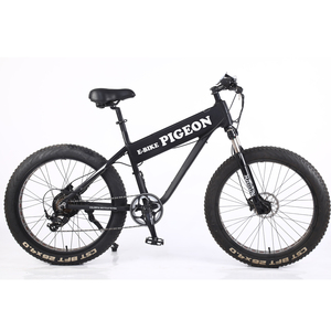 FP-EB2104 (26" electric bike with hidden type battery)