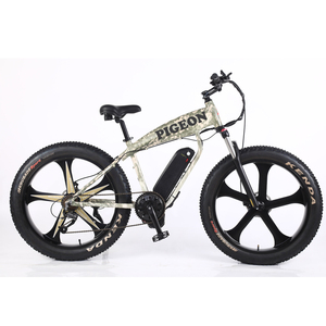 FP-EB2124 (26" electric bike with mid motor)