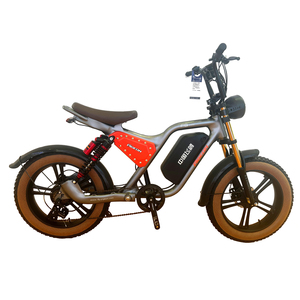 FP-EB2194 (electric bicycle 20" fat tire pedelec)