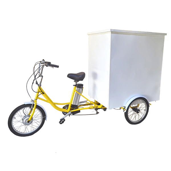 FP-ETRK1913  500W 48V electric trike for industrial and cargo