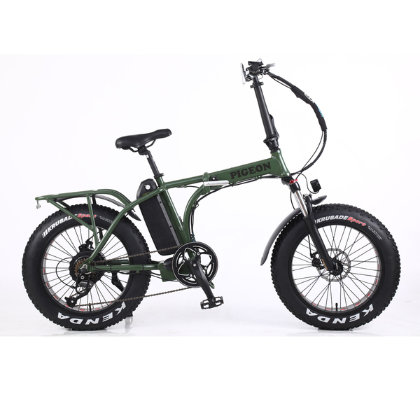 FP-EB2118 (20" electric snow bike)