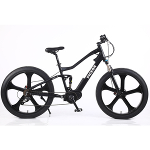 FP-EB2120 (26" Electric Bike with central motor)