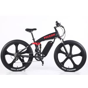 FP-EB2123 (26" electric snow bike )
