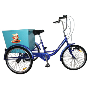 FP-TRK810    Tricycle with rear storage box