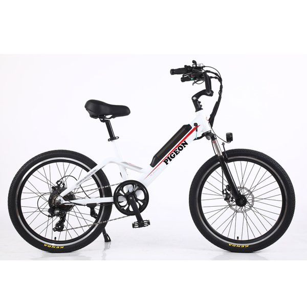 FP-EB2126 (electric moped bike with 24" wheel )