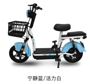 FP-EB2201 ( Lead-acid battery 350W moped scooter electric bicycle 48V 12AH)