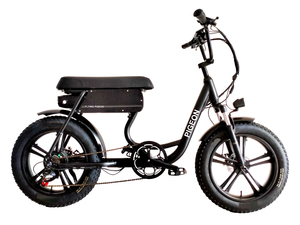 EBK-A330 750W e-bike