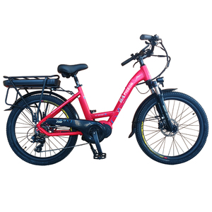 FP-EB2193 (24" electric city bike with mid motor)