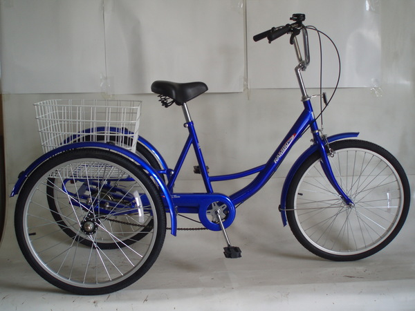 FP-TRK821 (cheap 24" steel trike)