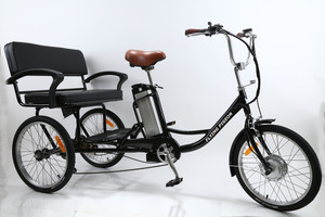 FP-ETRK1908  24" E-trike with baby seat
