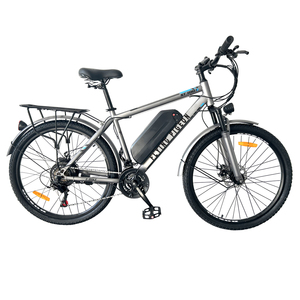 FP-EB25J01 (26" Electric Mountain Bike)