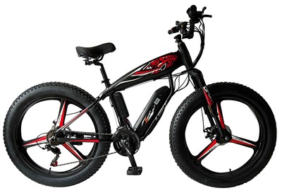 26 FAT E-BIKE( FP-EB004)