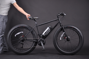 Beach Cruiser FP-EB011