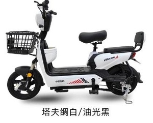 FP-EB2202 ( Lead-acid battery 400W moped scooter electric bicycle 48V 13AH)