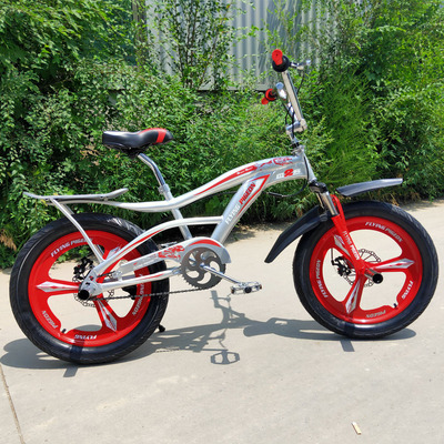 20" Freestyle bike-2001