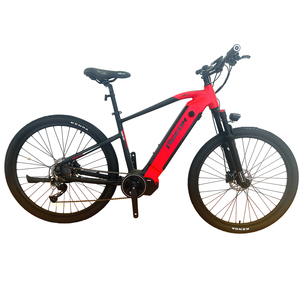 FP-EB2199 (29 inch Electric Bike with Mid-motor)