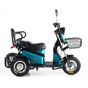 TRK-045 electric tricycle for adult(500W 48V 20AH)