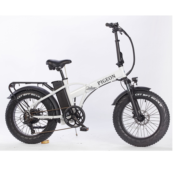 FP-EB2154 ( 48V 500W Electric bike foldable pedelec)