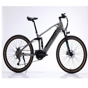 FP-EB2160 ( 350W 48V electric bike with mid motor)