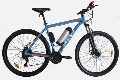 29" MOUTAIN E-BIKE (FP-EB001)