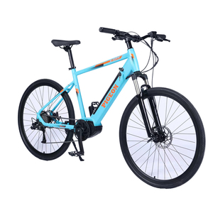 FP-EB2145 (Central motor E-bike with lithium battery)