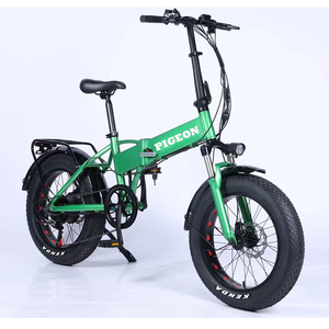 FP-EB2143 (Foldable E-bike 20 inch fat wheel)