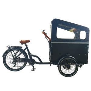 ETRK-017 ( electric three wheel bike tricycle )