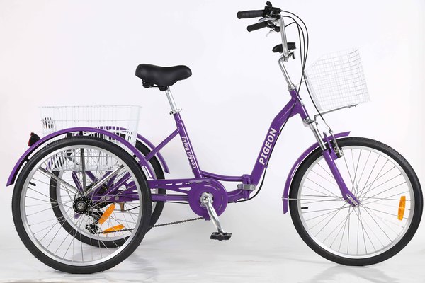 FP-TRK818 &nbsp;(24" foldable trike)