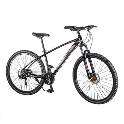 MTB-FP081 (29" *24 speed mountain bike)