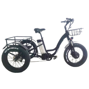 ETRK-012 (20" fat tire three wheel electric alloy tricycle )