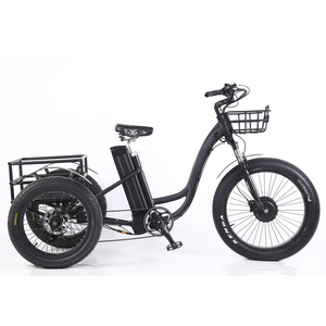 ETRK-013 (Big wheel electric tricycle )