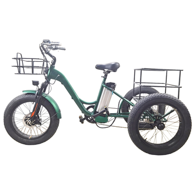 ETRK-011 (20" fat tire three wheel electric bike trike )