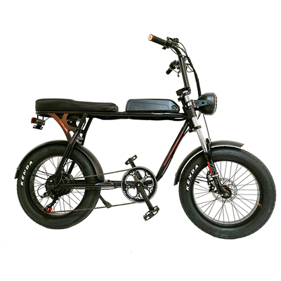 FP-EB2151 ( Long seat 48V 500W Electric fat Bike)