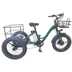 ETRK-016 (20" big wheel alloy electric bike trike )
