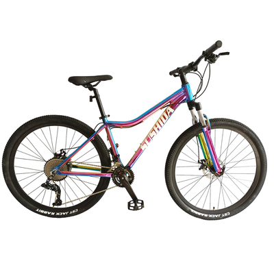 MTB-FP084 (29" *24 alloy colorful mountain bike)