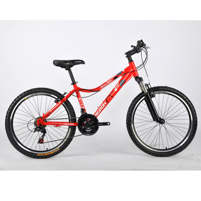 MTB-FP086 (24" *21speed steel mountain bike)