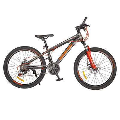 FP-MTB2001