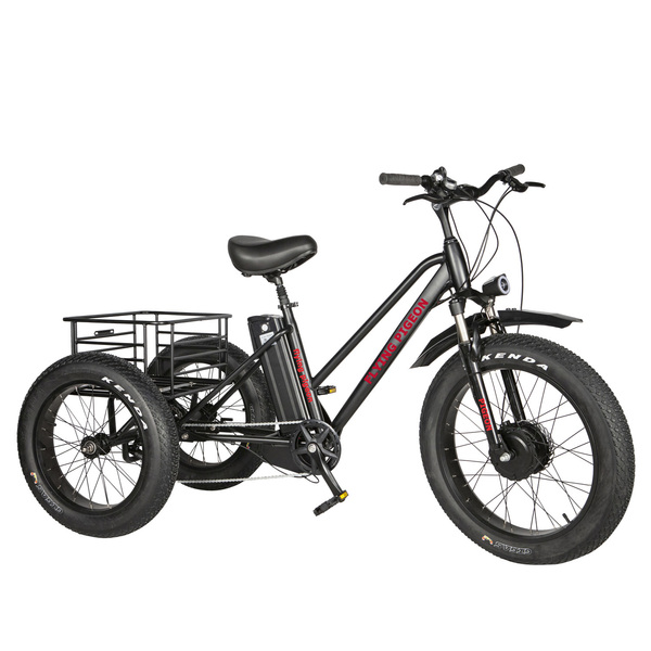 FP-ETRK1909   Electric fat tire tricycle