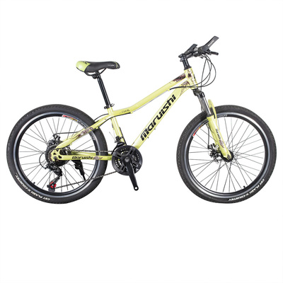 MTB-FP078 (24" *21 speed mountain bike)