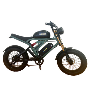 FP-EB2195 (double battery 20" electric moped bike fat tire pedelec)