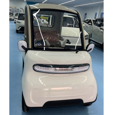 Adult New Energy Electric Four wheeled Vehicle(FP-FOUR WHEEL 261)