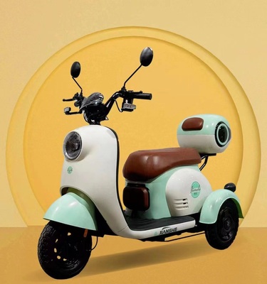 TRK-046 electric tricycle for adult(500W 48V 20AH)