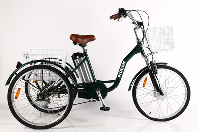 24" ELECTRIC TRIKE (FP-ETRK1901)