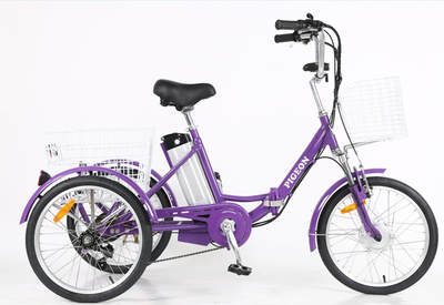 20" Foldable Electric Trike (FP-ETRK1904)
