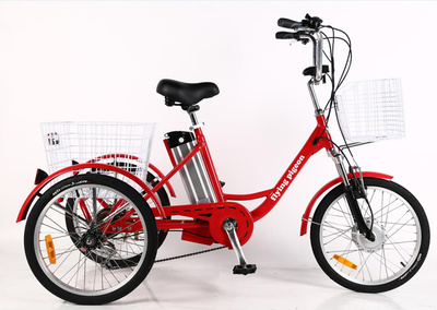20" Electric Trike (FP-ETRK1902)