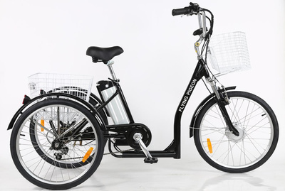 24" Low Step Electric Trike(FP-ETRK1903)