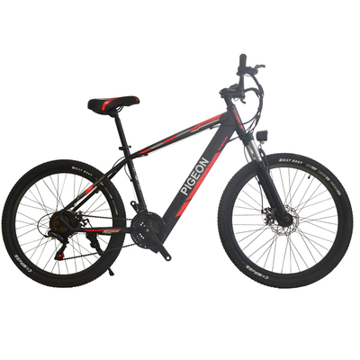 FP-EB2139 (cheap electric bike 250W)